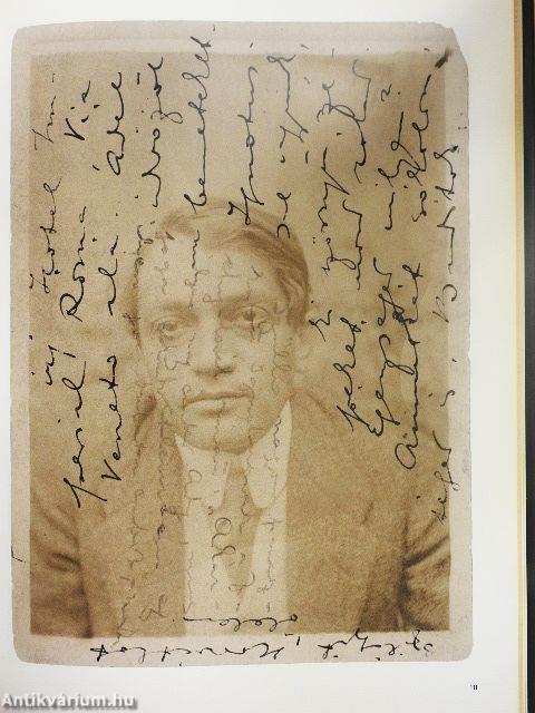 Ady - A portrévá lett arc