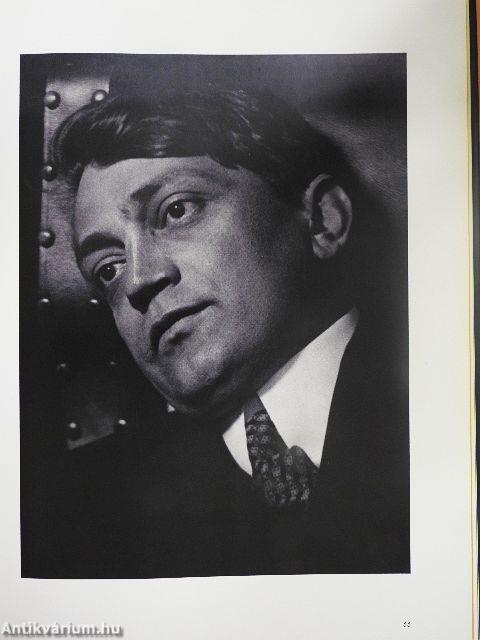 Ady - A portrévá lett arc