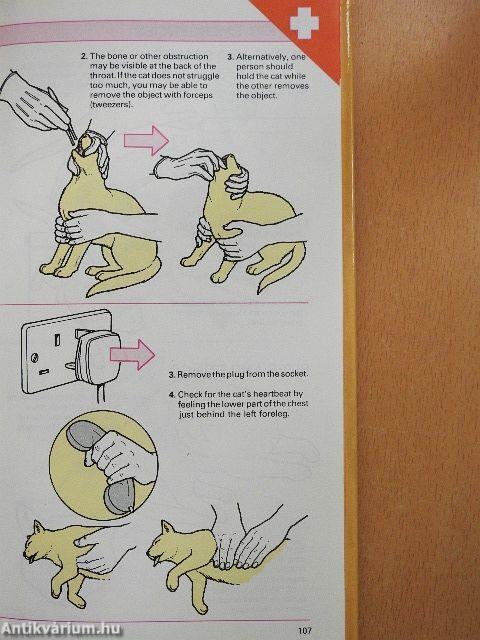The Practical Guide to Cat and Kitten Care