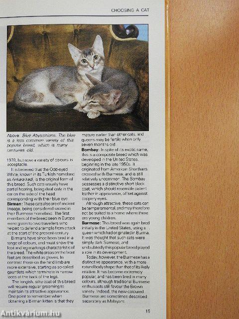 The Practical Guide to Cat and Kitten Care