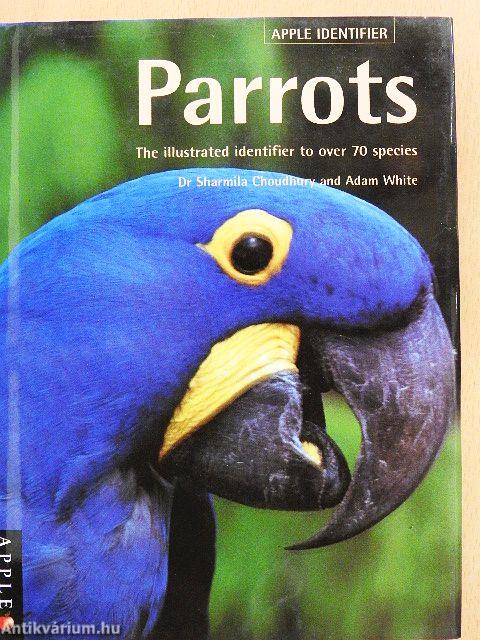 Parrots