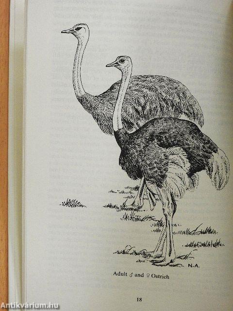 A Field Guide to the Birds of East Africa