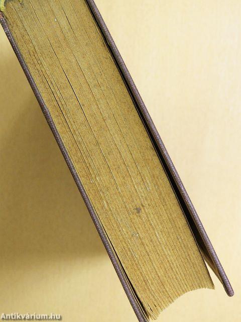 Szép Mikhál/Egy hírhedett kalandor a XVII. századból