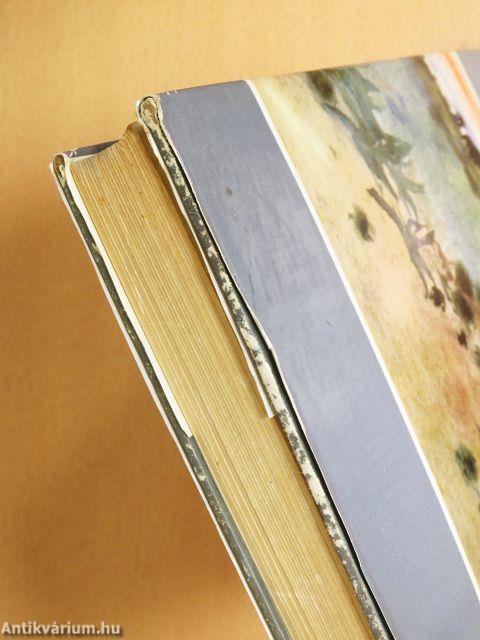 Három világrész csavargója