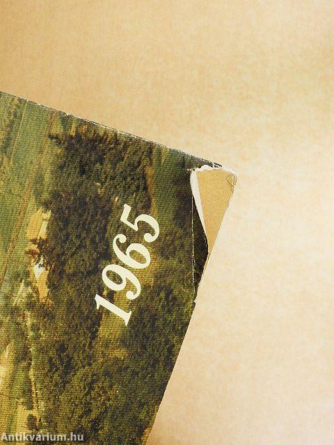 Zalaegerszeg 1965