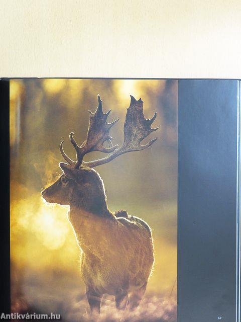 Az év természetfotói Magyarország 2014