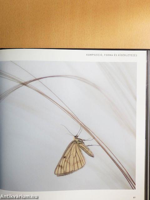 Az év természetfotói Magyarország 2014