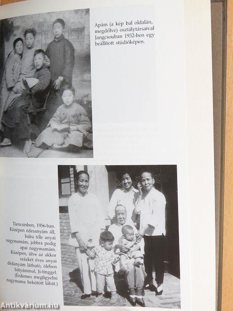 Madártoll a szélben