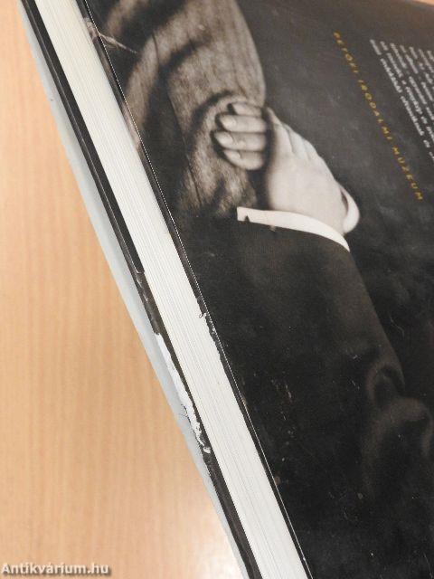 Ady - A portrévá lett arc