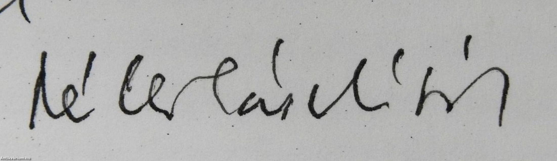 Szőregi délutánok (dedikált példány)