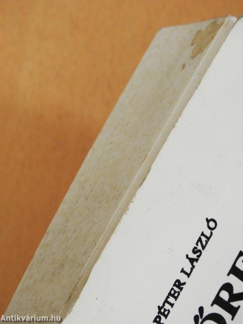 Szőregi délutánok (dedikált példány)