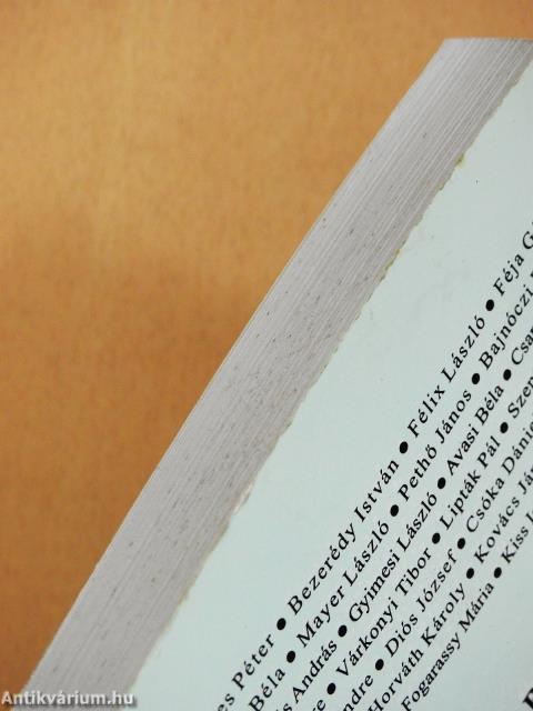 Negyedik száz beszélgetés (dedikált példány)