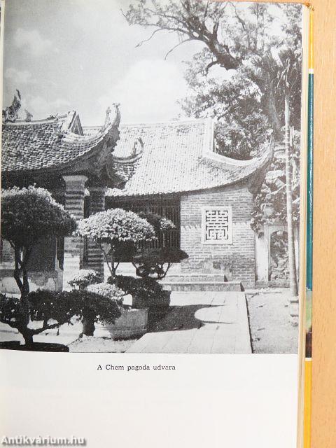 Az arany teknősbéka földjén