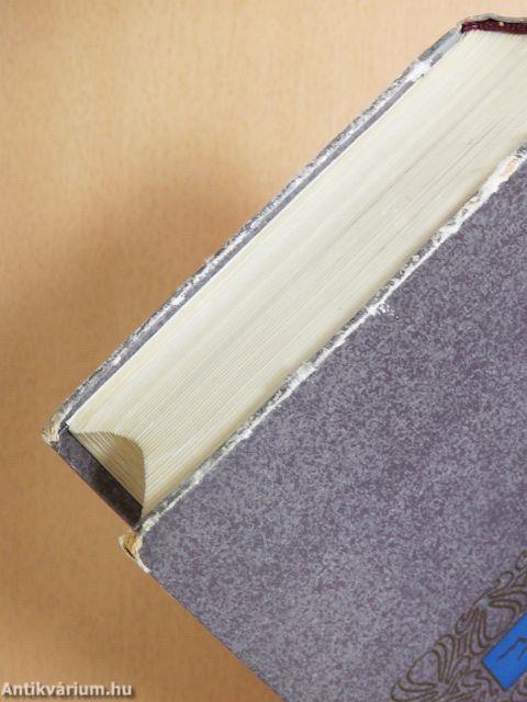 Kirándulás Oroszországba/Esszék