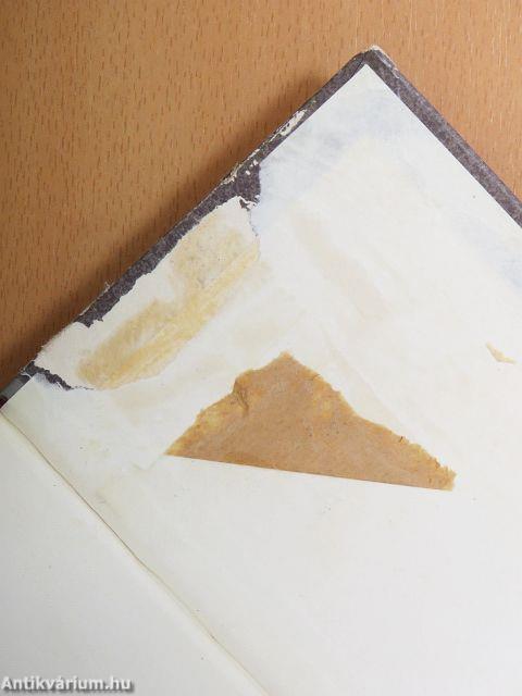 Kirándulás Oroszországba/Esszék