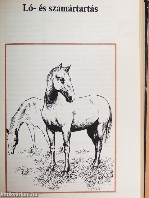 1000 kérdés, 1000 válasz a ház körüli állattartásról