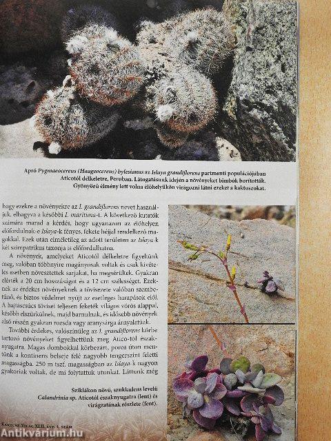 Kaktusz-világ 2018/4.