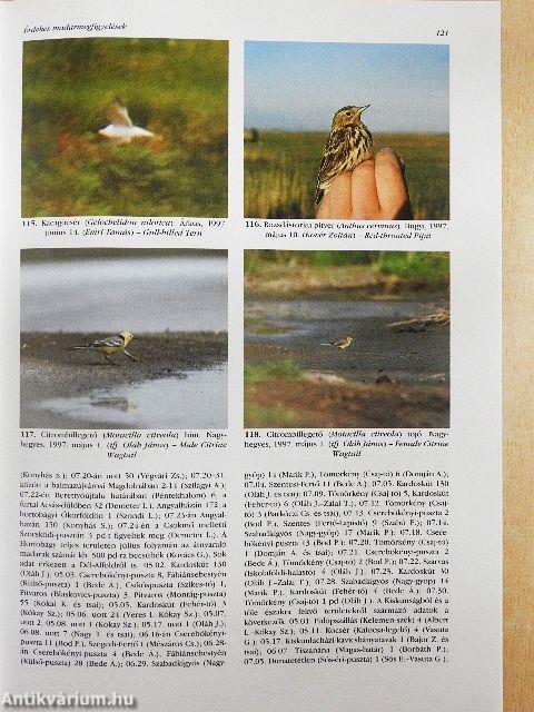 Túzok 1997. szeptember