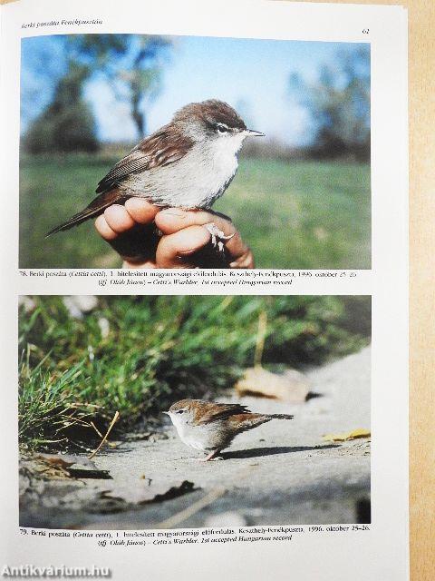 Túzok 1997. június