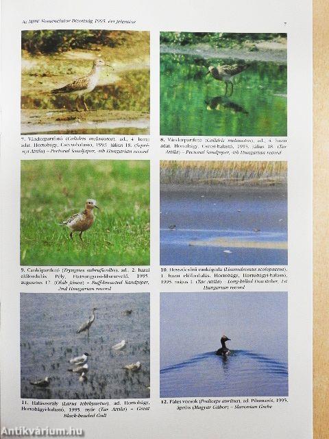 Túzok 1997. március