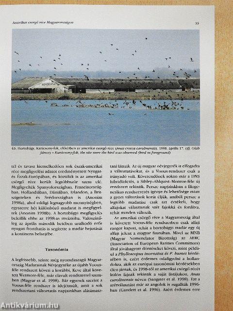 Túzok 1998. június