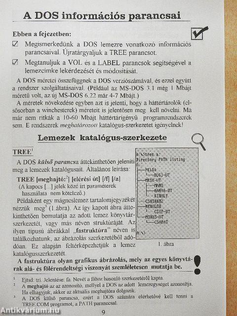 Az IBM-PC és a DOS adatbiztonság, adatvédelem IV. rész