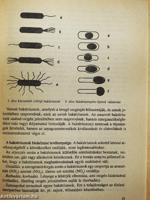 Általános járványtani és közegészségtani alapismeretek