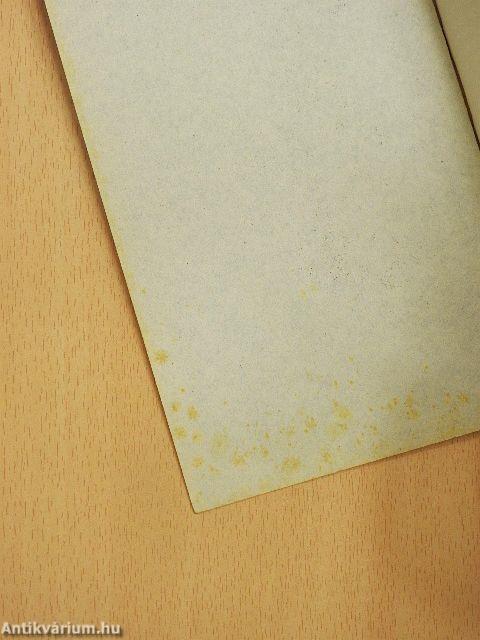 Vérmedvék kastélya