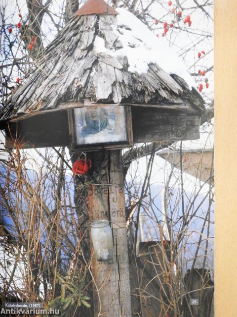 Elveszett szavak (dedikált példány)