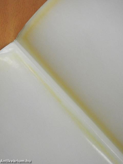 Szobotka Imre emlékkiállítása (dedikált példány)