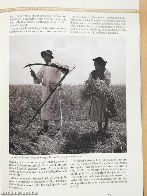 Gabonakonyha (dedikált példány)