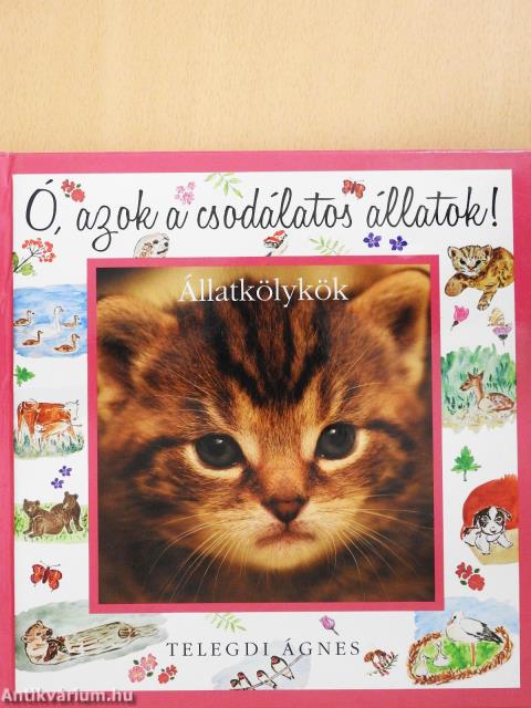 Állatkölykök (dedikált példány)