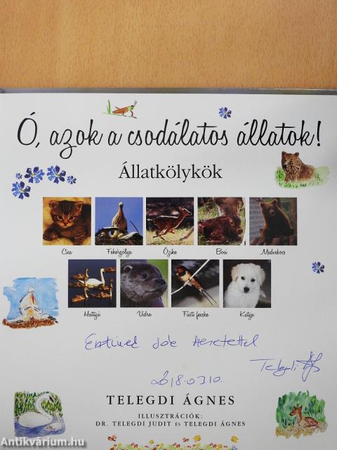 Állatkölykök (dedikált példány)