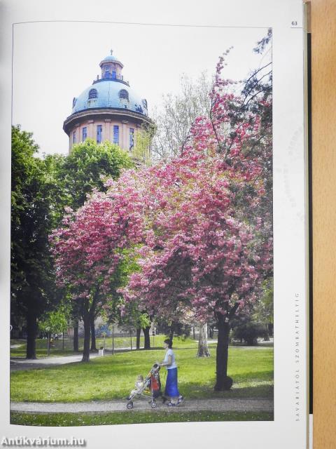 Savariától Szombathelyig (kétszeresen dedikált példány)