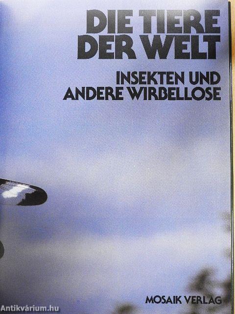 Insekten und Andere Wirbellose