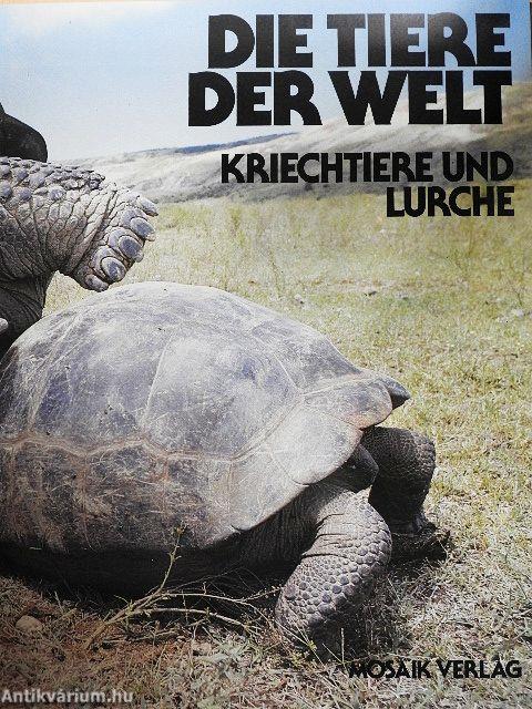 Kriechtiere und Lurche