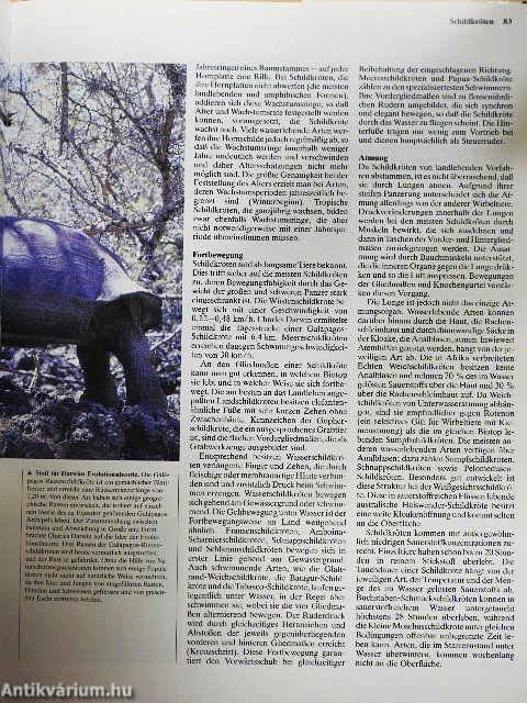 Kriechtiere und Lurche