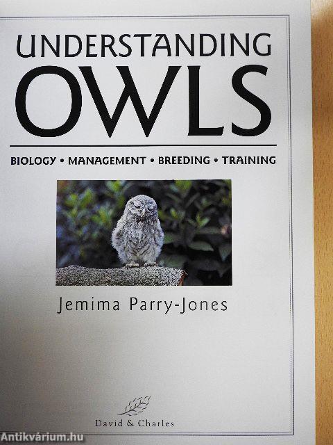 Understanding OWLS