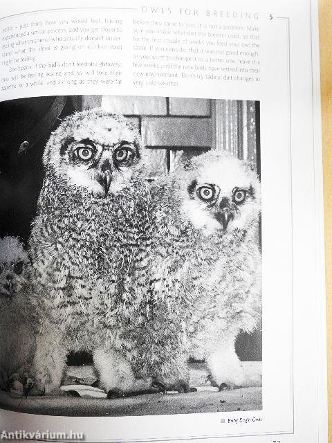 Understanding OWLS