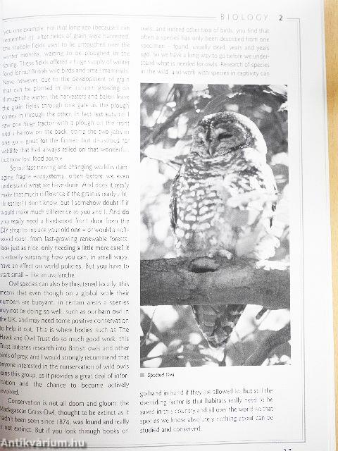 Understanding OWLS