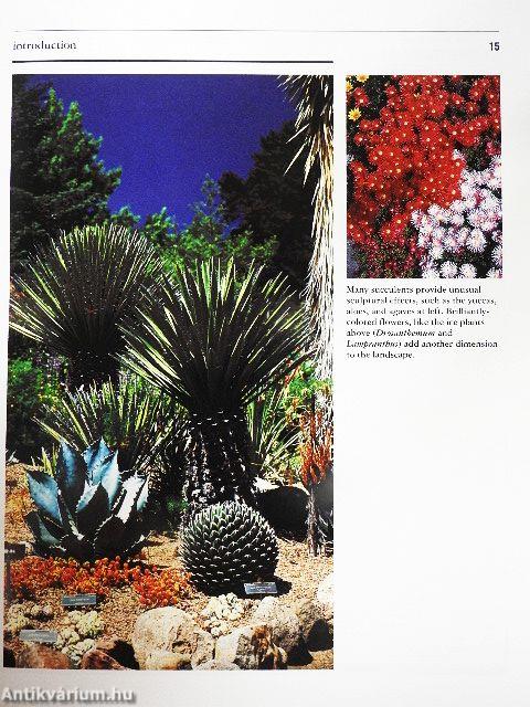 Dry Climate Gardening with Succulents