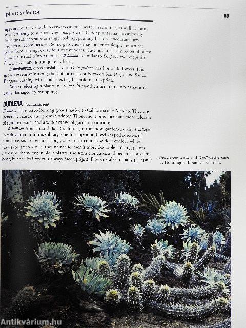 Dry Climate Gardening with Succulents