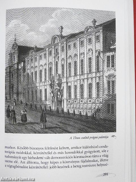 Mozart - A bécsi évek