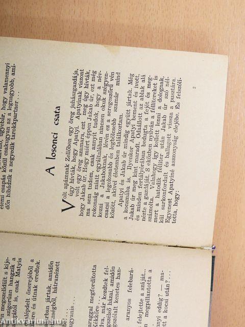 Egy viharvert legény tarsolyából