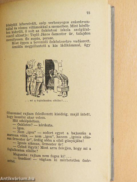 Egy viharvert legény tarsolyából