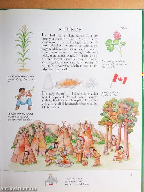 Fedezzük fel a világot!