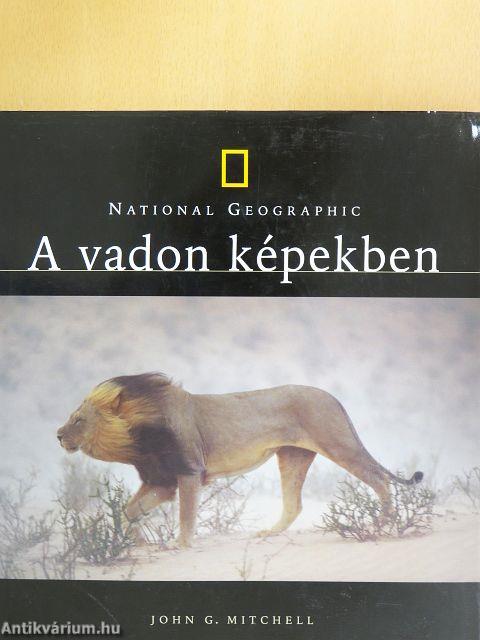 A vadon képekben