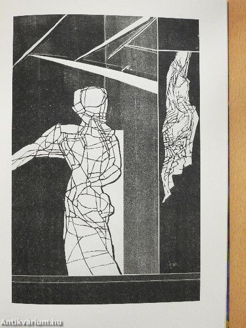 Léggömbről a táj