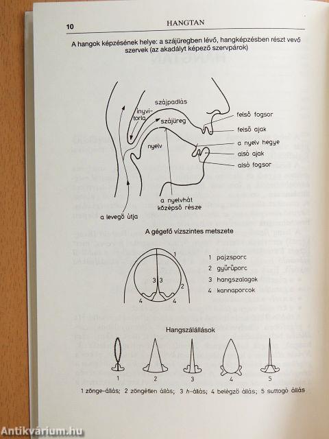 Gyakorlati magyar nyelvtan