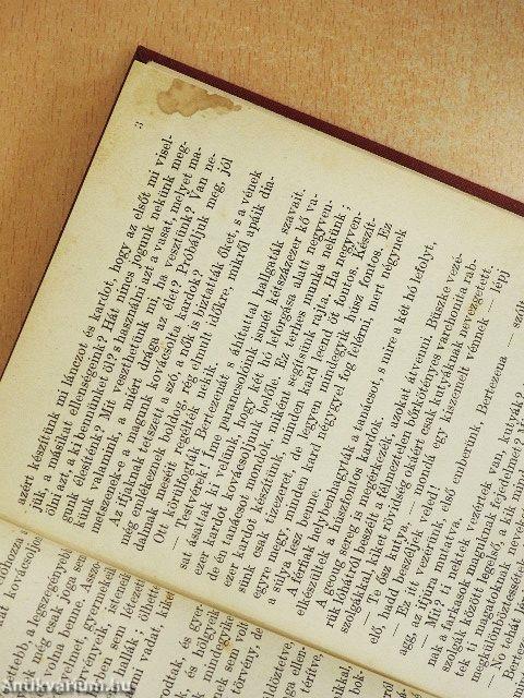 Hangok a vihar után